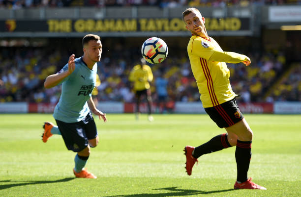 成为许多欧 成为许多欧